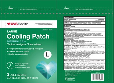 Menthol Patch Pouch (796720 Cvs Cooling Pain Patch 2ct Pch 2025 Compressed (1) Min)